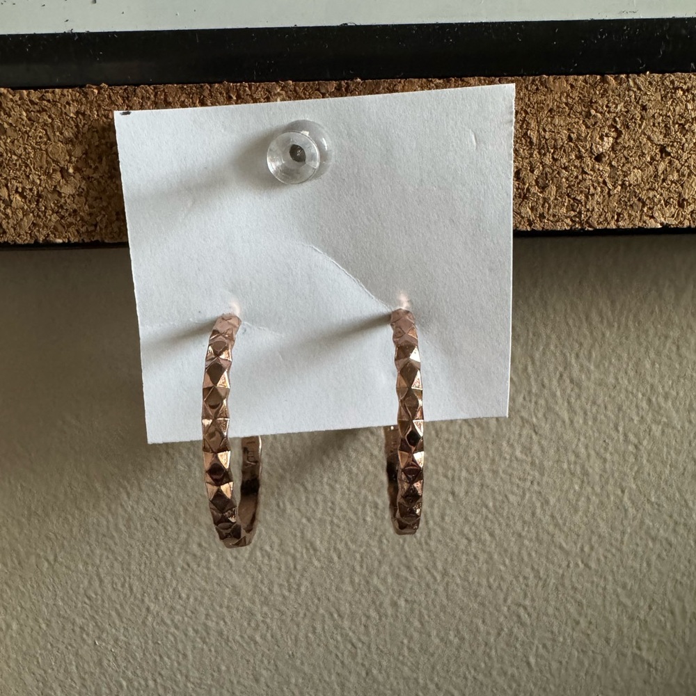 Elegant Rose Gold Hoop Earrings